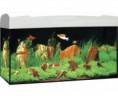 Kit Acuario 54 Litros